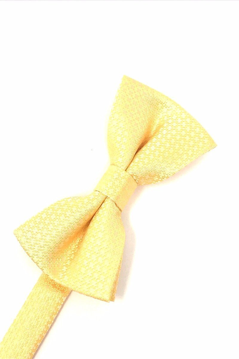 Cardi Pre-Tied Harvest Maize Regal Bow Tie